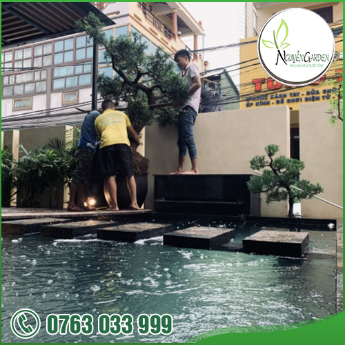CÔNG TY TNHH TM DV NGUYỄN GARDEN